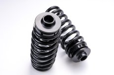 画像3: 全長調整 フルタップ 車高調 24段減衰調整付 (3)